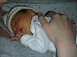 DSCN0103.JPG, 707x530, 86 Kb