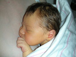 DSCN0112.JPG, 707x530, 94 Kb