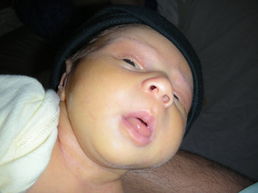 DSCN0118.JPG, 707x530, 87 Kb