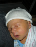 DSCN0126.JPG, 398x530, 54 Kb