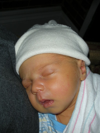 DSCN0126.JPG, 398x530, 54 Kb