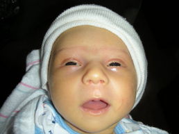 DSCN0128.JPG, 707x530, 88 Kb