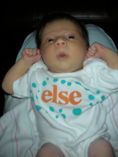 DSCN0151.JPG, 398x530, 53 Kb