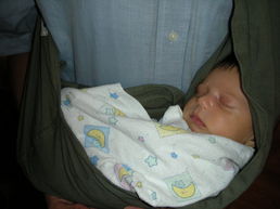 DSCN0157.JPG, 707x530, 82 Kb