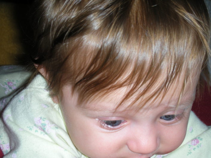 DSCN0548.JPG, 707x530, 102 Kb