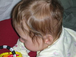 DSCN0552.JPG, 707x530, 97 Kb