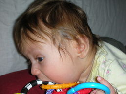 DSCN0554.JPG, 707x530, 96 Kb