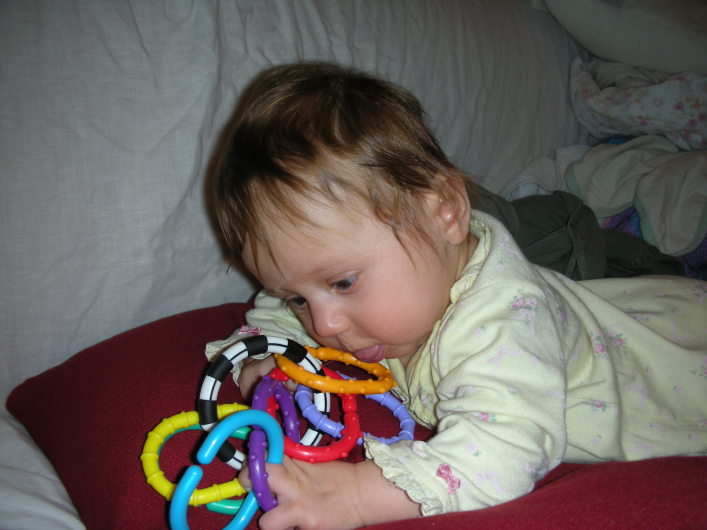 DSCN0556.JPG, 707x530, 99 Kb