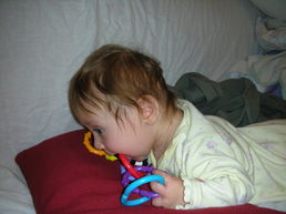 DSCN0558.JPG, 707x530, 97 Kb