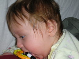 DSCN0559.JPG, 707x530, 94 Kb