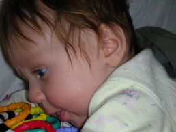 DSCN0560.JPG, 707x530, 91 Kb