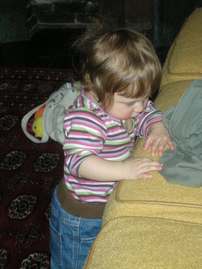 DSCN0903.JPG, 398x530, 64 Kb