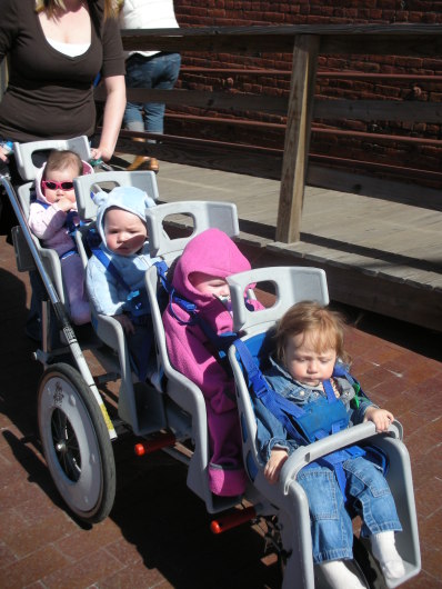 DSCN1021.JPG, 398x530, 77 Kb