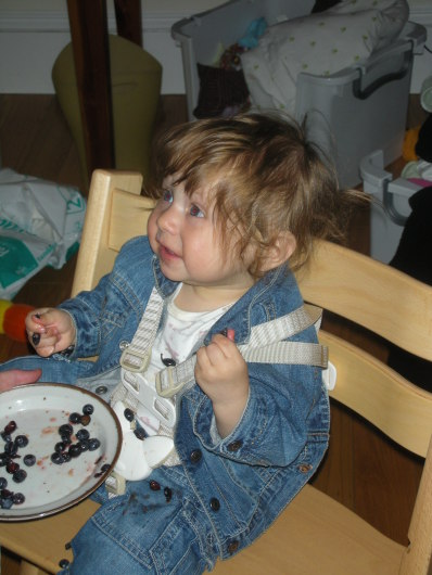 DSCN1033.JPG, 398x530, 65 Kb