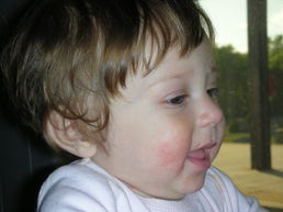 DSCN1208.JPG, 707x530, 91 Kb