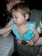 DSCN1221.JPG, 398x530, 56 Kb