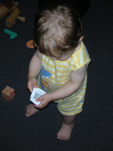 DSCN1235.JPG, 398x530, 64 Kb