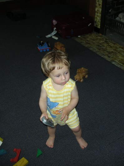 DSCN1237.JPG, 398x530, 53 Kb