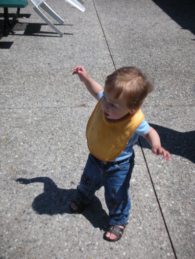 DSCN1261.JPG, 398x530, 75 Kb