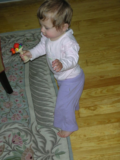 DSCN1271.JPG, 398x530, 61 Kb