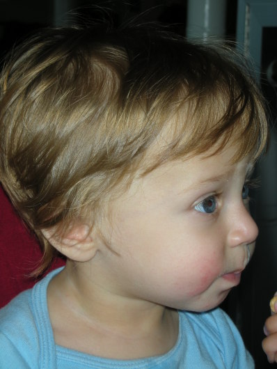 DSCN1305.JPG, 398x530, 56 Kb