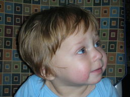 DSCN1308.JPG, 707x530, 101 Kb