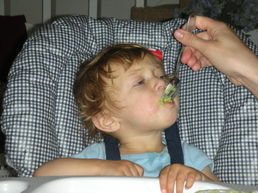 DSCN1319.JPG, 707x530, 111 Kb