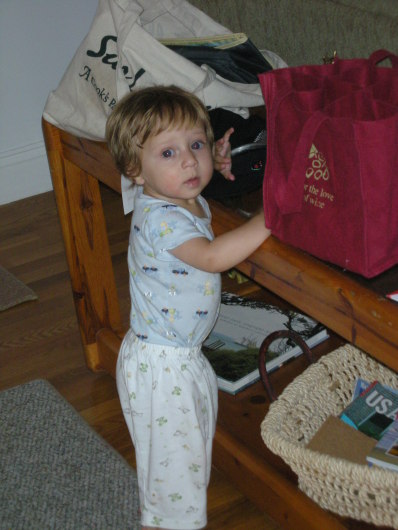 DSCN1347.JPG, 398x530, 61 Kb