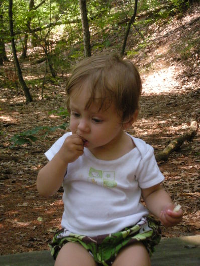 DSCN1367.JPG, 398x530, 76 Kb