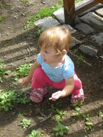 DSCN1417.JPG, 398x530, 80 Kb