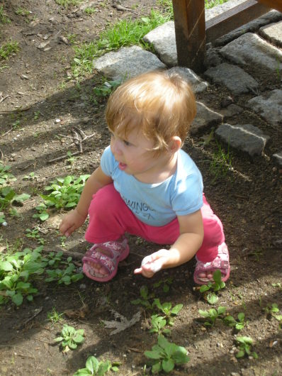 DSCN1417.JPG, 398x530, 80 Kb