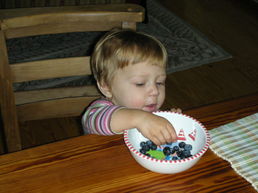 DSCN1462.JPG, 707x530, 103 Kb