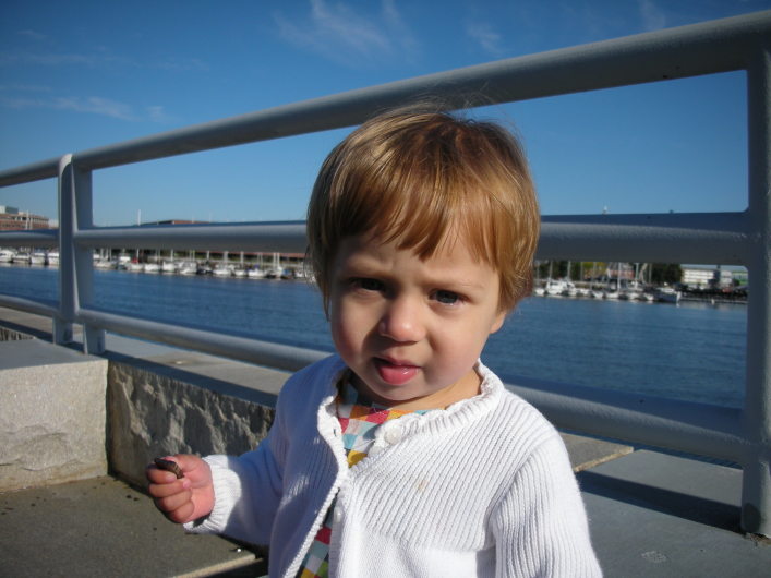 DSCN1514.JPG, 707x530, 99 Kb