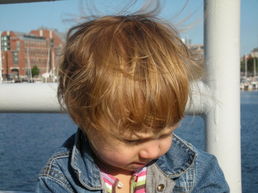 DSCN1526.JPG, 707x530, 101 Kb