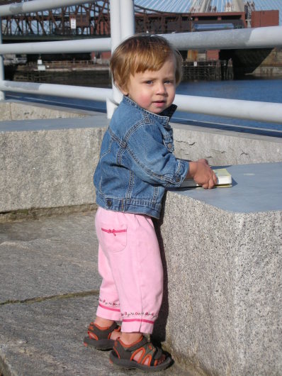 DSCN1531.JPG, 398x530, 71 Kb