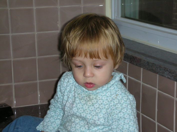 DSCN1538.JPG, 707x530, 96 Kb