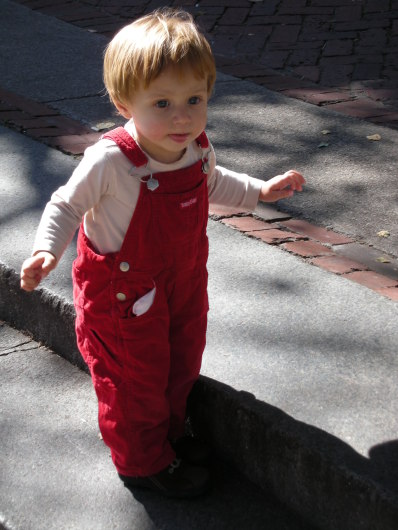 DSCN1541.JPG, 398x530, 65 Kb