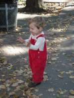 DSCN1543.JPG, 398x530, 77 Kb