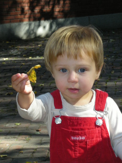 DSCN1546.JPG, 398x530, 69 Kb