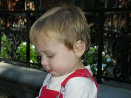 DSCN1549.JPG, 707x530, 97 Kb