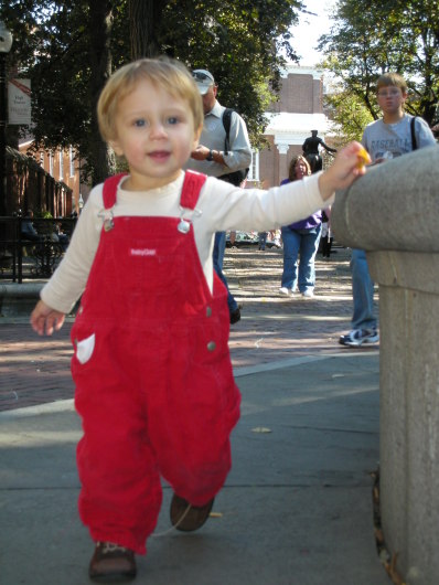 DSCN1551.JPG, 398x530, 70 Kb