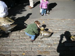 DSCN1596.JPG, 707x530, 105 Kb