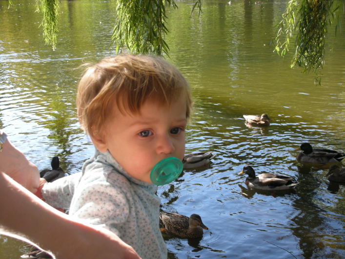 DSCN1597.JPG, 707x530, 119 Kb