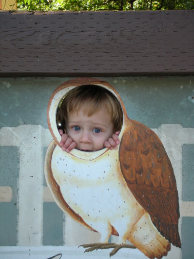 DSCN1609.JPG, 398x530, 64 Kb