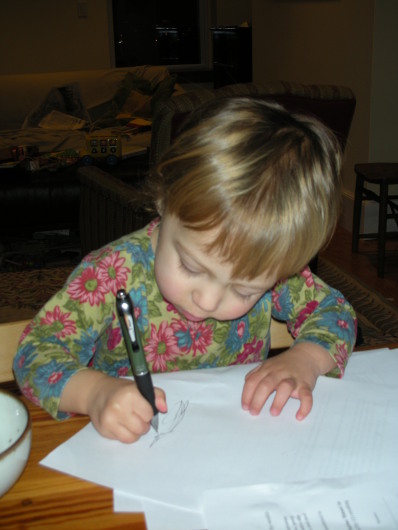 DSCN1660.JPG, 398x530, 60 Kb