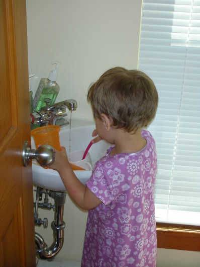 DSCN1962.JPG, 398x530, 61 Kb