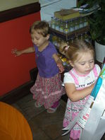 DSCN1990.JPG, 398x530, 68 Kb