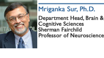Mriganka Sur, Ph.D., Sherman Fairchild Professor of Neuroscience; Department Head, Brain & Cognitive Sciences