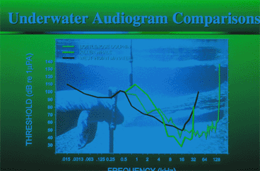 Underwater Audiogram comparisons
