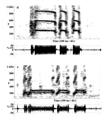 Sonagrams and oscillograms from Opansus beta